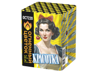 Красотка Батарея салютов купить #REGION_NAME_DECLINE_PP# | #REGION_TAG_VSTAVKA_TAYT#