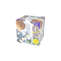 Новогодняя ночь Салют купить в Сосновом Боре Псковской области | sosnovyjborpskovskaya.salutsklad.ru