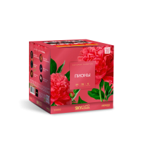 Пионы Салют купить в Сосновом Боре Псковской области | sosnovyjborpskovskaya.salutsklad.ru