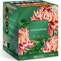 Хризантемы Фейерверк купить в Сосновом Боре Псковской области | sosnovyjborpskovskaya.salutsklad.ru