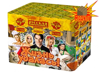 Жизнь удалась Фейерверк купить в Сосновом Боре Псковской области | sosnovyjborpskovskaya.salutsklad.ru