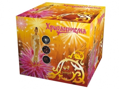 Хризантема Салют купить в Сосновом Боре Псковской области | sosnovyjborpskovskaya.salutsklad.ru