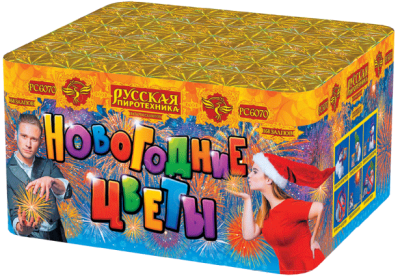 Новогодние цветы Фейерверк купить в Сосновом Боре Псковской области | sosnovyjborpskovskaya.salutsklad.ru