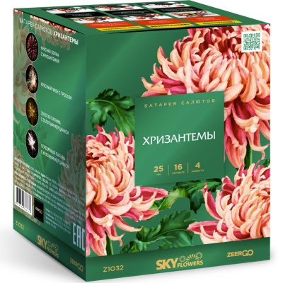 Хризантемы Фейерверк купить в Сосновом Боре Псковской области | sosnovyjborpskovskaya.salutsklad.ru