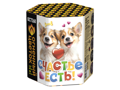 Счастье есть! Салют купить в Сосновом Боре Псковской области | sosnovyjborpskovskaya.salutsklad.ru