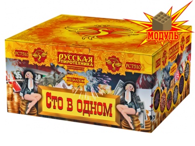 Сто в одном Салют купить в Сосновом Боре Псковской области | sosnovyjborpskovskaya.salutsklad.ru